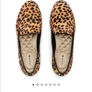 Birdies starling in cheetah.  Brand new in Box